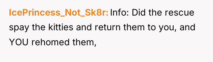 IcePrincess_Not_Sk8r Info: Did the rescue spay the kitties and return...