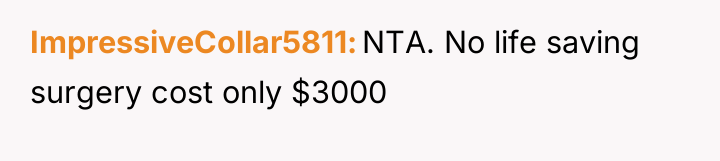 ImpressiveCollar5811 NTA. No life saving surgery cost only $3000