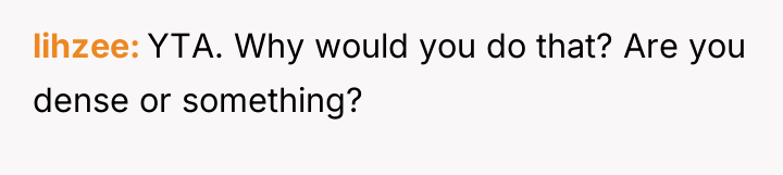 lihzee YTA. Why would you do that? Are you dense...