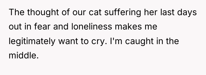 The thought of our cat suffering her last days out...