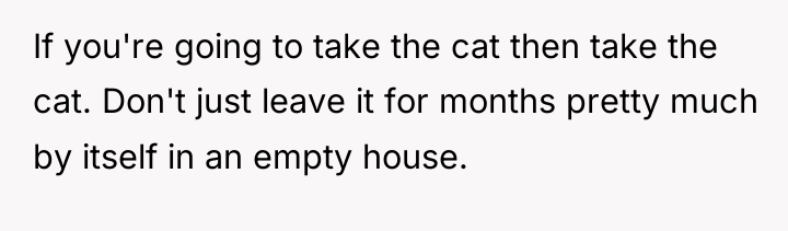 If you're going to take the cat then take the...