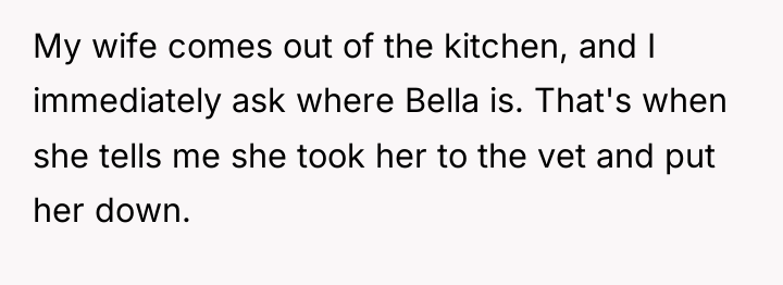 My wife comes out of the kitchen, and I immediately...