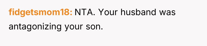 fidgetsmom18 NTA. Your husband was antagonizing your son.