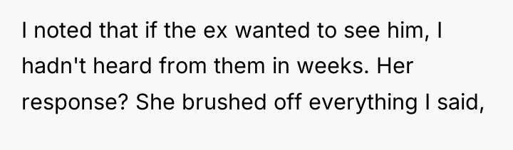 I noted that if the ex wanted to see him,...