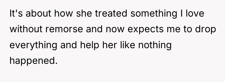 It's about how she treated something I love without remorse...