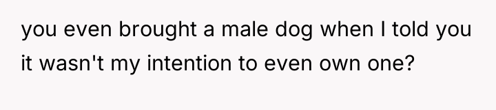 you even brought a male dog when I told you...