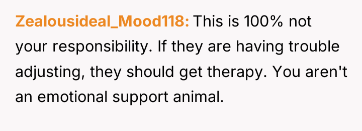 Zealousideal_Mood118 This is 100% not your responsibility. If they are...