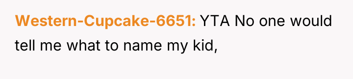 Western-Cupcake-6651 YTA No one would tell me what to name...