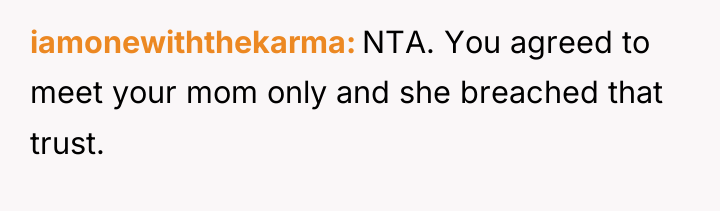 iamonewiththekarma NTA. You agreed to meet your mom only and...