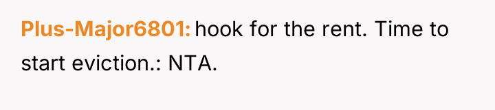 Plus-Major6801 hook for the rent. Time to start eviction.: NTA.