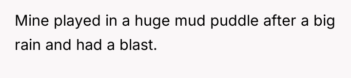 Mine played in a huge mud puddle after a big...