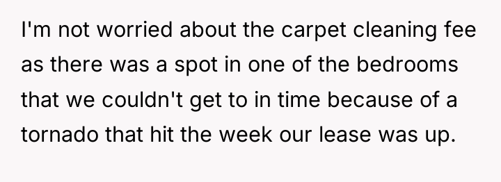 I'm not worried about the carpet cleaning fee as there...