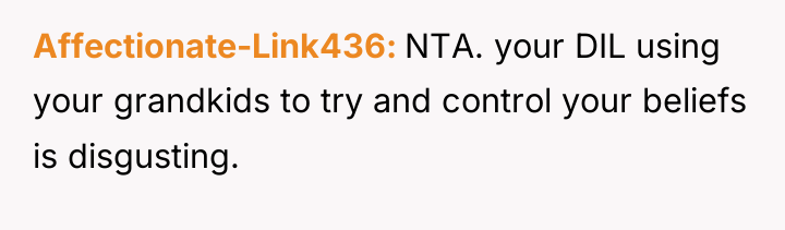 Affectionate-Link436 NTA. your DIL using your grandkids to try and...