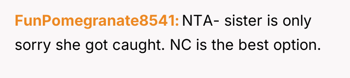 FunPomegranate8541 NTA- sister is only sorry she got caught. NC...