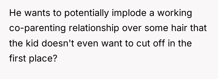 He wants to potentially implode a working co-parenting relationship over...