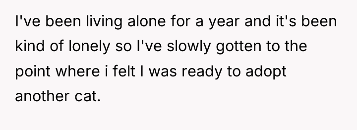 I've been living alone for a year and it's been...