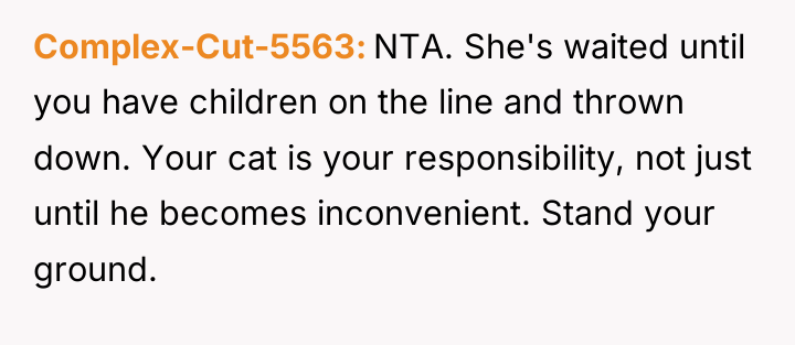 Complex-Cut-5563 NTA. She's waited until you have children on the...