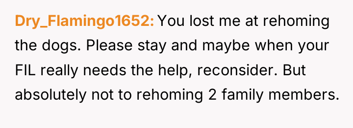 Dry_Flamingo1652 You lost me at rehoming the dogs. Please stay...