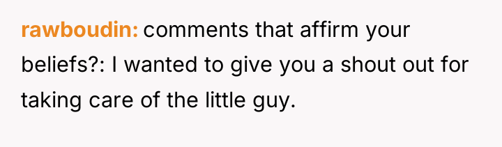 rawboudin comments that affirm your beliefs?: I wanted to give...