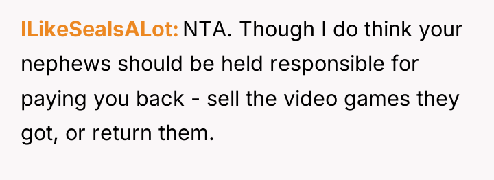 ILikeSealsALot NTA. Though I do think your nephews should be...