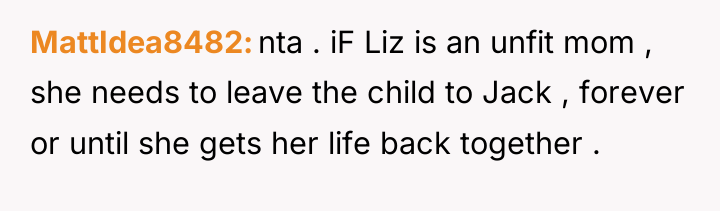 MattIdea8482 nta . iF Liz is an unfit mom ,...