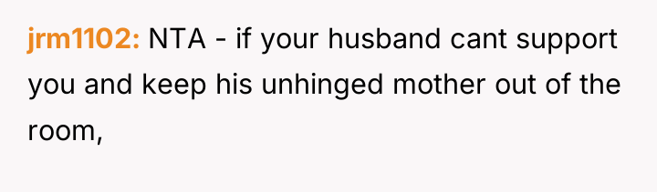 jrm1102 NTA - if your husband cant support you and...