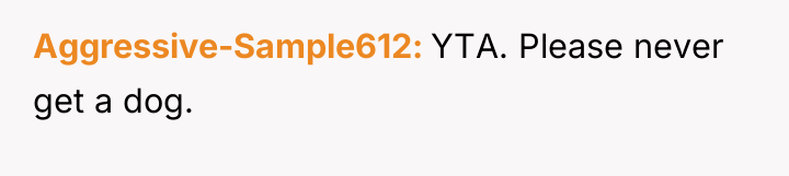 Aggressive-Sample612 YTA. Please never get a dog.