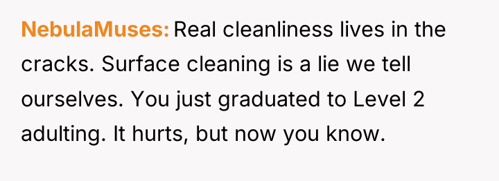 NebulaMuses Real cleanliness lives in the cracks. Surface cleaning is...