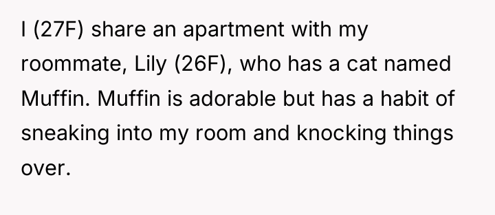 I (27F) share an apartment with my roommate, Lily (26F),...