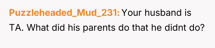 Puzzleheaded_Mud_231 Your husband is TA. What did his parents do...