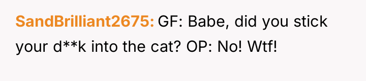SandBrilliant2675 GF: Babe, did you stick your d**k into the...