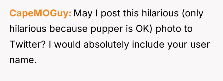 CapeMOGuy May I post this hilarious (only hilarious because pupper...