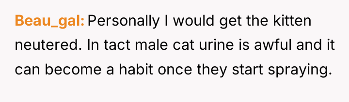 Beau_gal Personally I would get the kitten neutered. In tact...