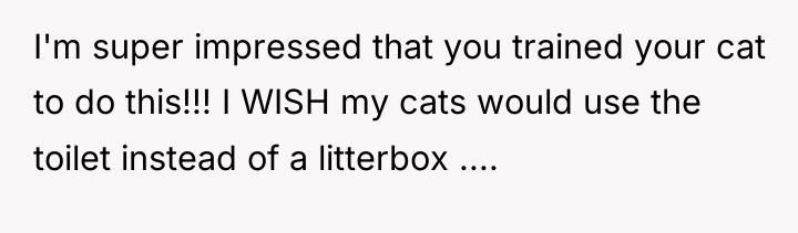 I'm super impressed that you trained your cat to do...