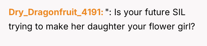Dry_Dragonfruit_4191 ": Is your future SIL trying to make her...