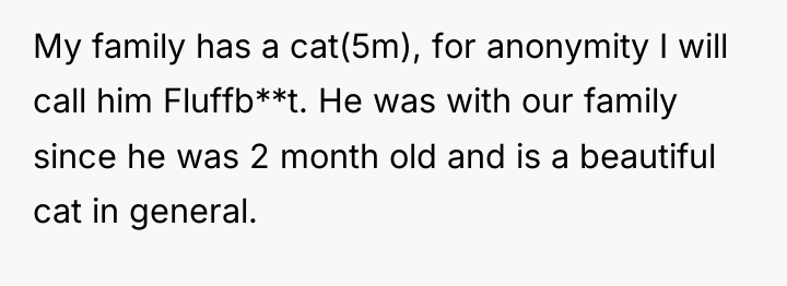My family has a cat(5m), for anonymity I will call...