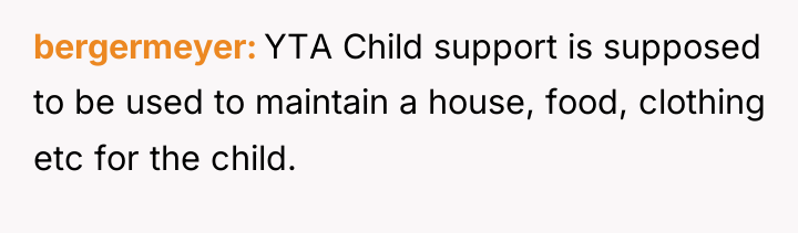 bergermeyer YTA Child support is supposed to be used to...