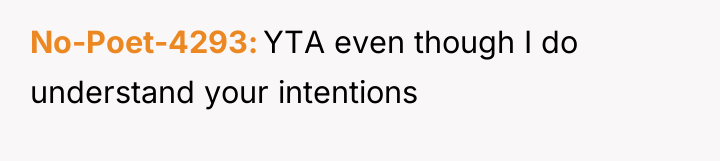 No-Poet-4293 YTA even though I do understand your intentions