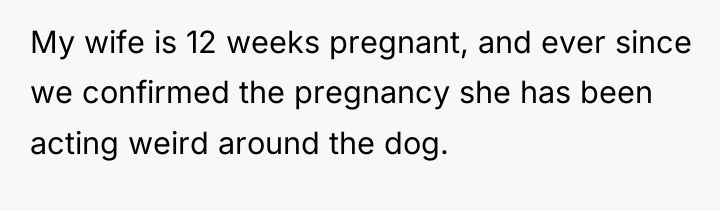 My wife is 12 weeks pregnant, and ever since we...