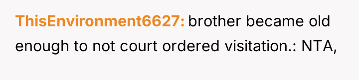 ThisEnvironment6627 brother became old enough to not court ordered visitation.:...