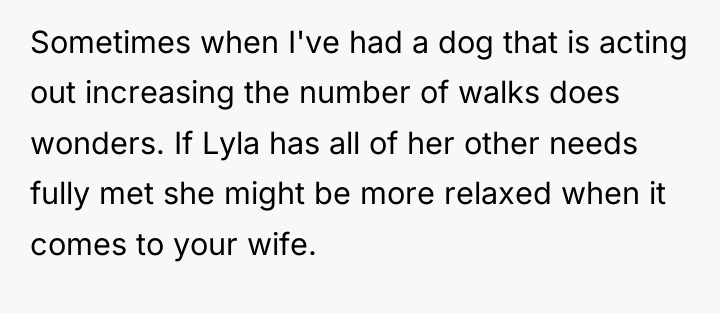 Sometimes when I've had a dog that is acting out...