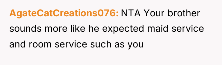 AgateCatCreations076 NTA Your brother sounds more like he expected maid...
