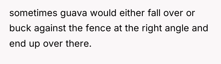 sometimes guava would either fall over or buck against the...