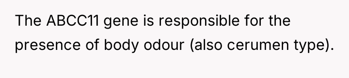 The ABCC11 gene is responsible for the presence of body...