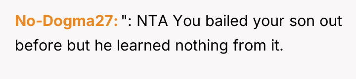 No-Dogma27 ": NTA You bailed your son out before but...