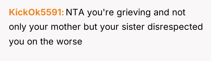 KickOk5591 NTA you're grieving and not only your mother but...
