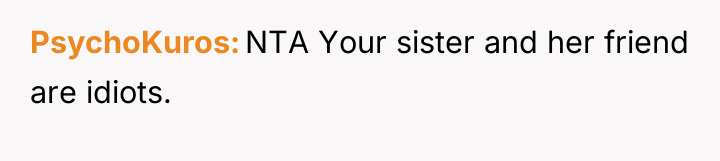 PsychoKuros NTA Your sister and her friend are idiots.