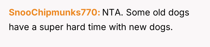 SnooChipmunks770 NTA. Some old dogs have a super hard time...