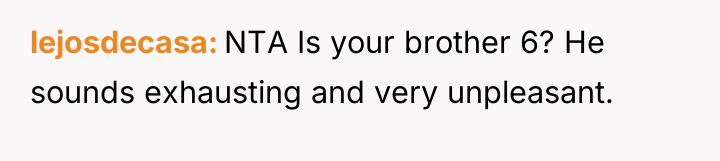 lejosdecasa NTA Is your brother 6? He sounds exhausting and...