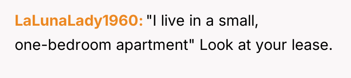 LaLunaLady1960 "I live in a small, one-bedroom apartment" Look at...